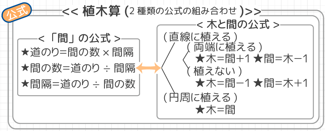 植木算の応用問題 木と木の間 長方形に面に植える 中学受験 そう